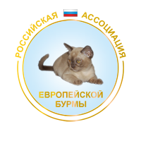 Питомник бурманской кошки Москва